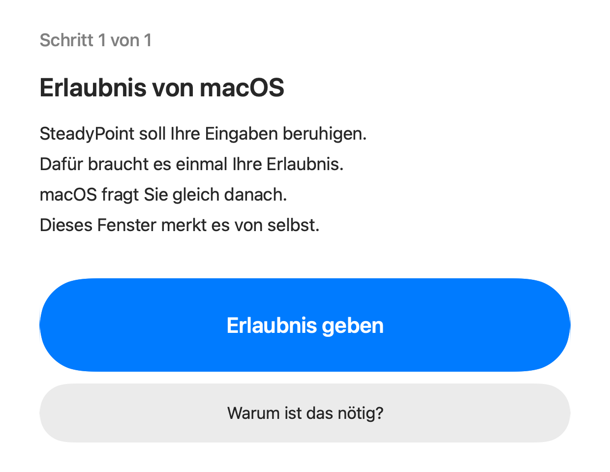 Die Einrichtung, Schritt „Erlaubnis von macOS“: vier kurze Zeilen und ein großer blauer Knopf „Erlaubnis geben“.